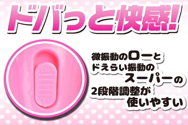 �y�W�W�O�~�����ʌ���z�m�d�v�@�h�f���}�@�i�u���b�N�j������l�l�P�_���聄