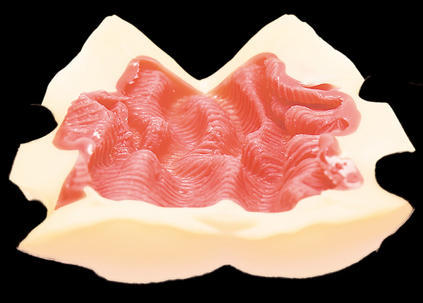 �y�Q�Q�Q�O�~�����ʌ���z����̐�y�̓V�˓I�ȍY�ł��s�X�g���R��ʁ�����l�l�P�_���聄